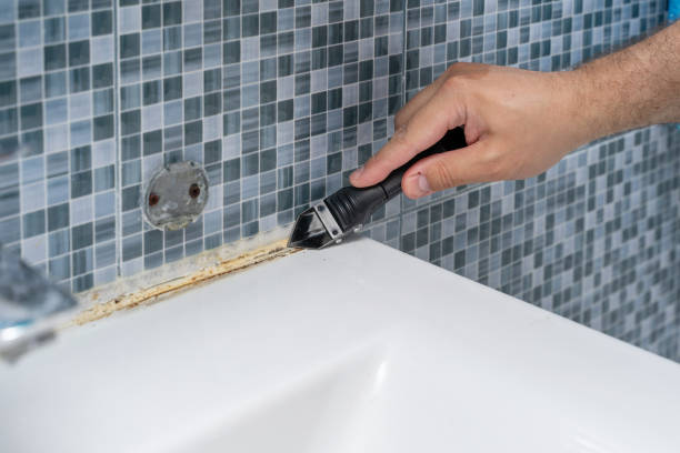 Best Mold Testing  in Cattaraugus, NY